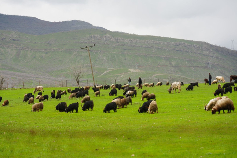Aynı anda iki mevsimi yaşıyorlar - Resim: 2