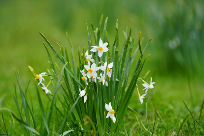 Aynı anda iki mevsimi yaşıyorlar - Resim: 20