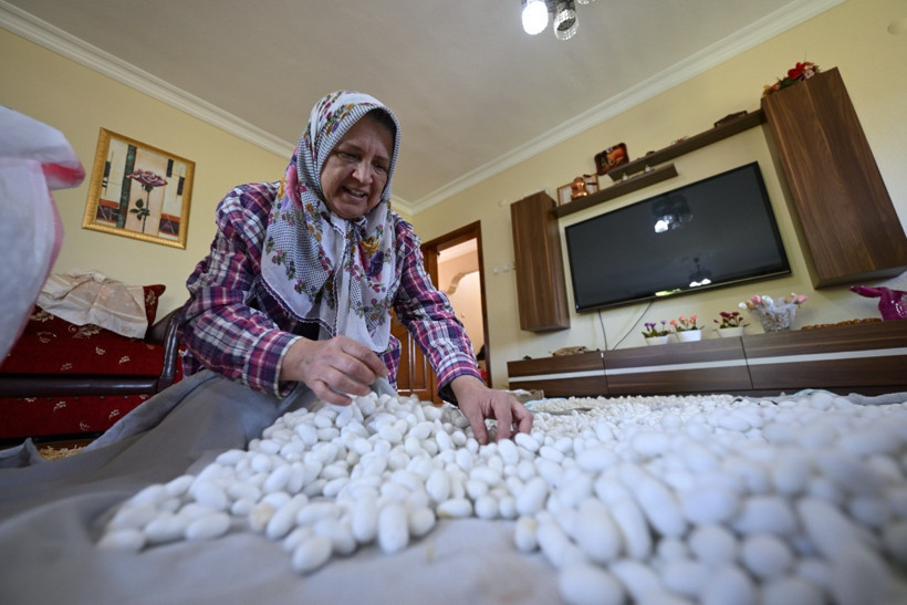 Hobi diye başladı: Bir ayda 12 aylık maaşı kadar kazanıyor - Resim : 2