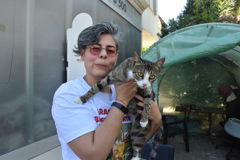 6 milyonda bir görülüyor: Erkek kedi doğum yaptı - Resim : 1