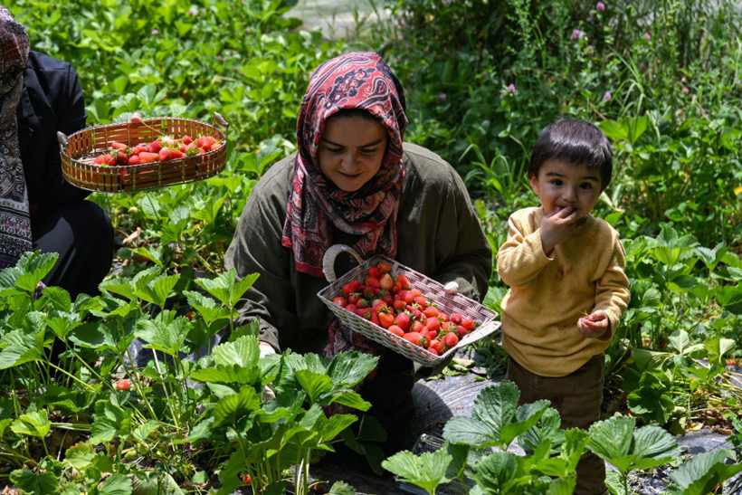 32 yaşındaki kadın ilçenin tek üreticisi: 500 metrekareden 2.500’e çıktı - Resim : 1