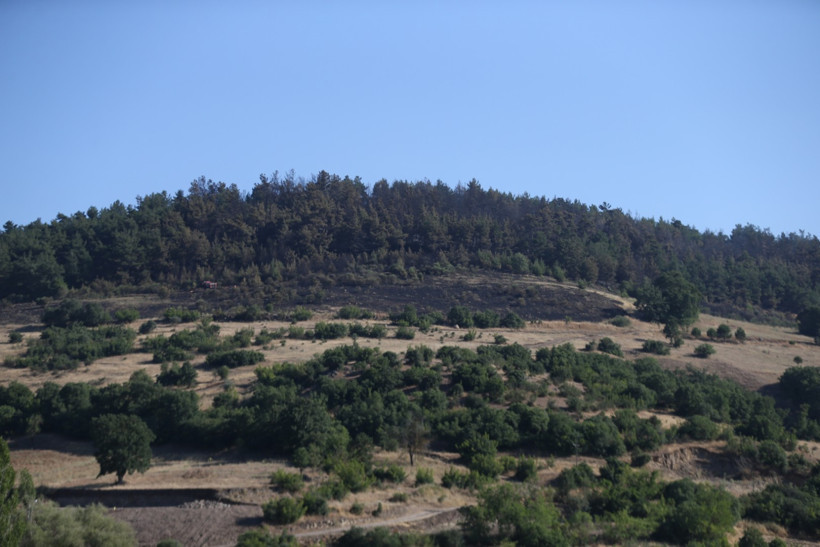 Balıkesir yangını bir günde söndürüldü - Resim : 2