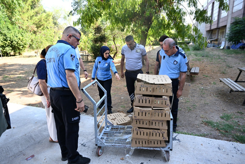 Usulsüz taşınan civcivlere el konuldu - Resim : 1