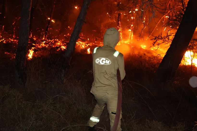 Fethiye'deki orman yangını evlere sıçradı - Resim: 18