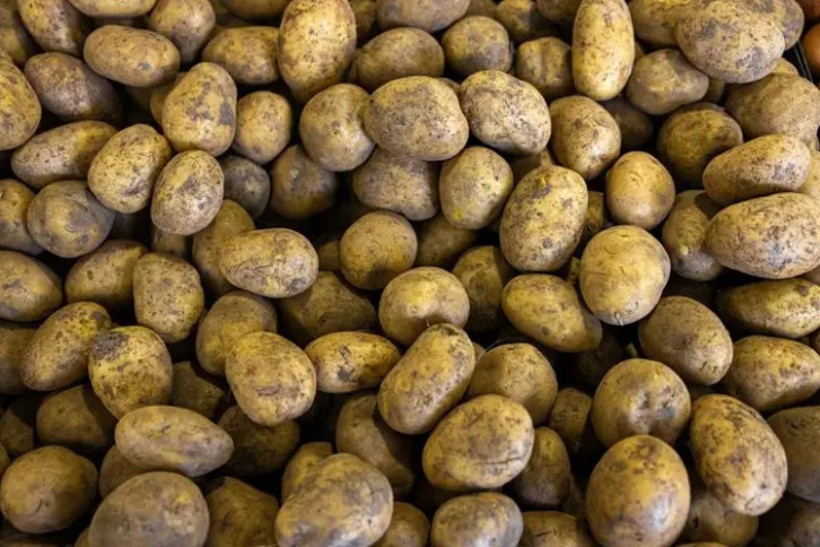 Patates saklamanın püf noktası ortaya çıktı: Yanına bir tane eklemek yetiyor - Resim : 1
