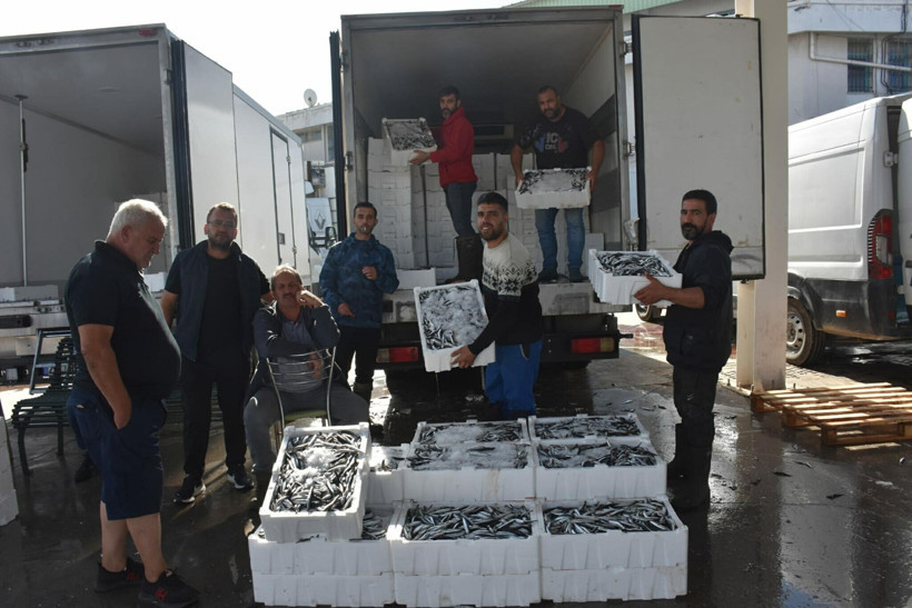 Palamutun son fiyatını gören ikişer üçer alıyor - Resim : 1