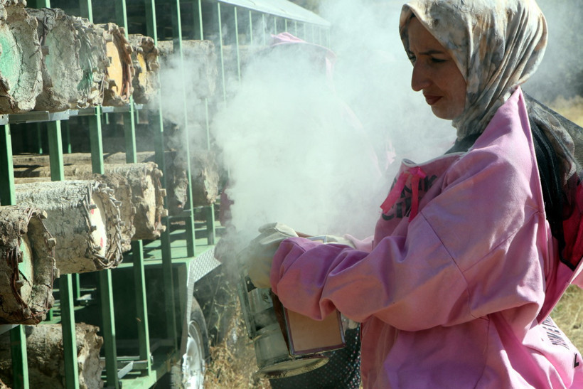 Pembe maskelerini taktılar 2 bin rakımda hasada &ccedil;ıktılar - Resim : 2