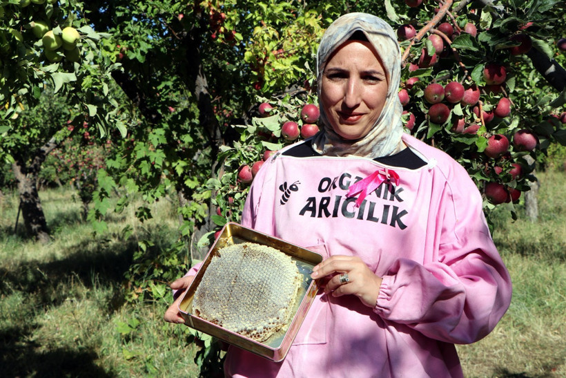 Pembe maskelerini taktılar 2 bin rakımda hasada &ccedil;ıktılar - Resim : 3