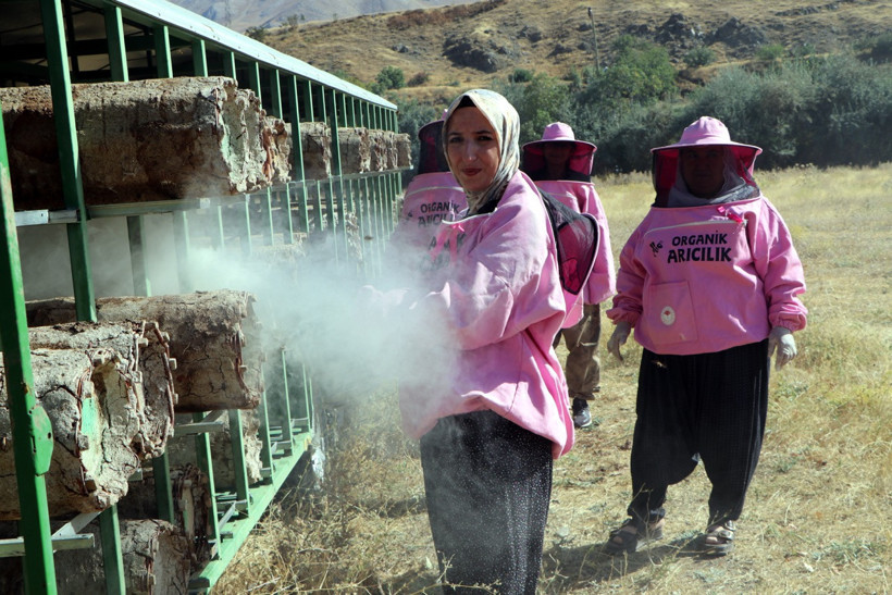 Pembe maskelerini taktılar 2 bin rakımda hasada &ccedil;ıktılar - Resim : 6