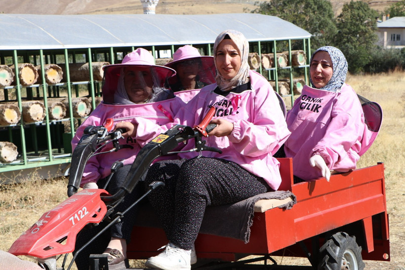 Pembe maskelerini taktılar 2 bin rakımda hasada &ccedil;ıktılar - Resim : 5