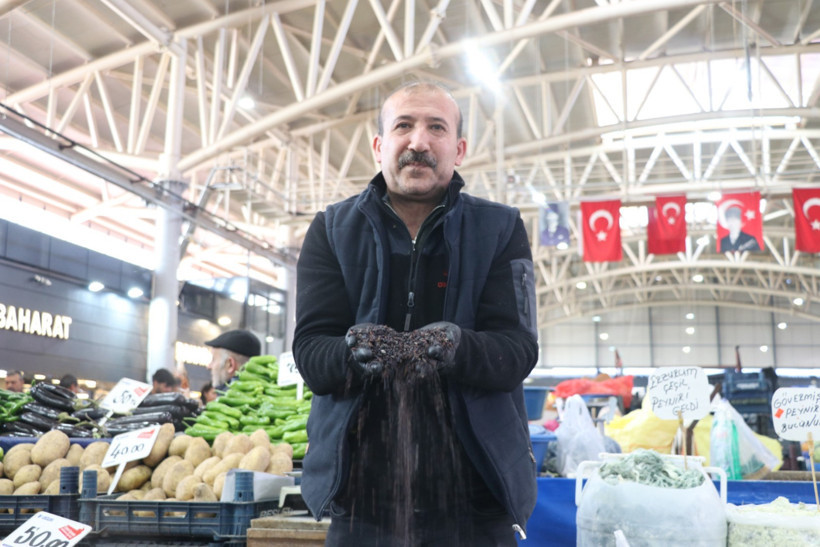 Köylüler yıllardır biliyor şehirdekiler yeni keşfediyor. Kurutarak çay gibi içiyorlar - Resim : 2