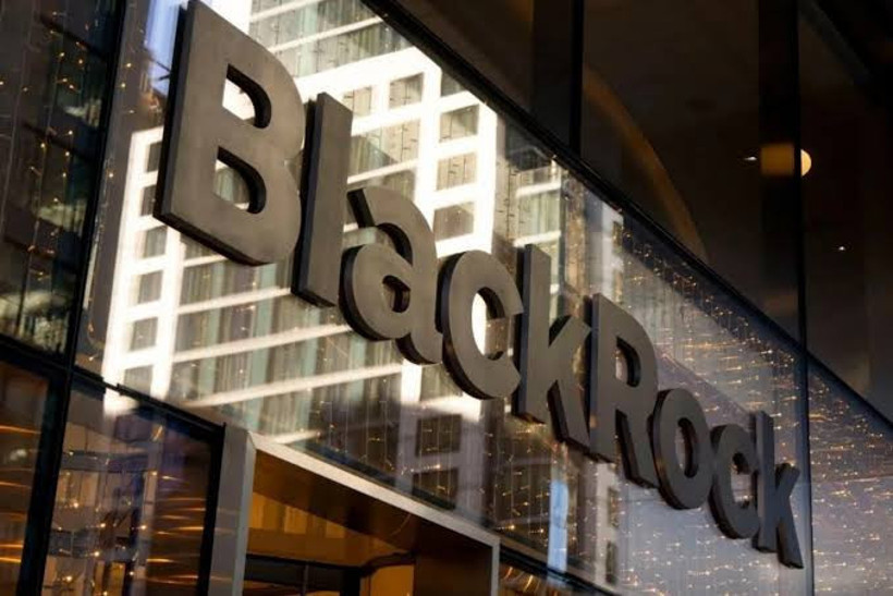Dünyanın en büyük fonu BlackRock hisselerini satarak aniden Türkiye'den çekildi - Resim : 2