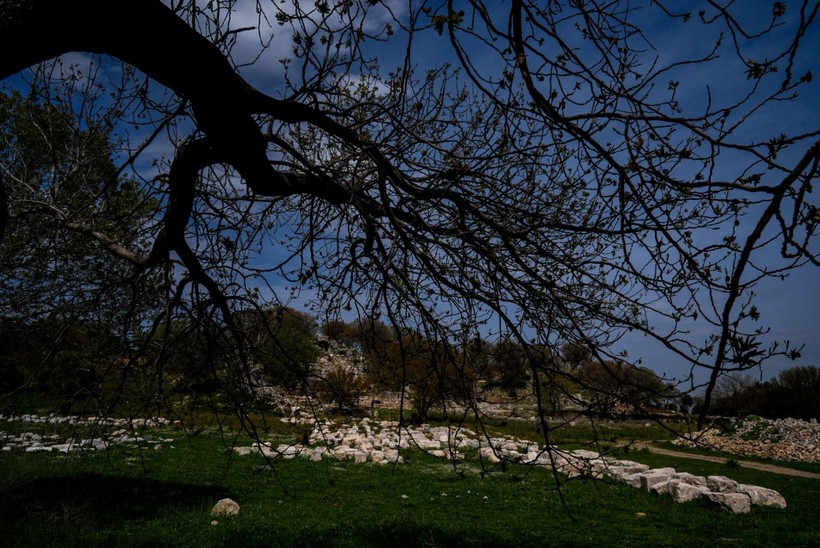 3000 yıllık Dionysos tapınağı yeniden hayat buluyor - Resim: 41