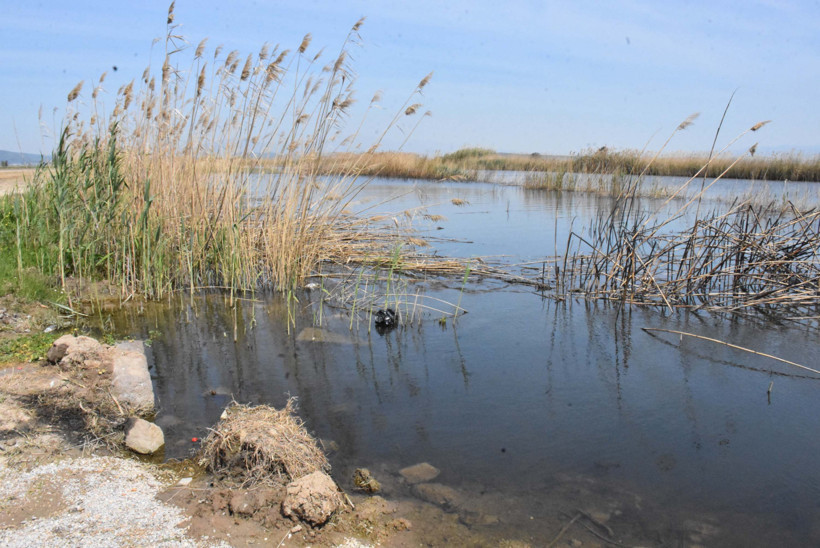 Gediz Nehri can çekişiyor: 'Ağlayasım geliyor', 'Suya dokunmaya korkar olduk' - Resim : 2