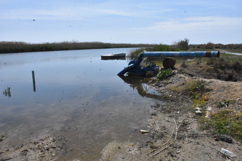 Gediz Nehri can çekişiyor: 'Ağlayasım geliyor', 'Suya dokunmaya korkar olduk' - Resim : 4