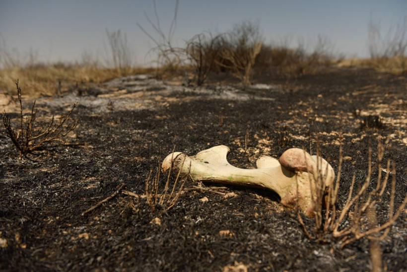 Prestijli dergiden kritik rapor: Her dakika bir can alıyor! - Resim : 2