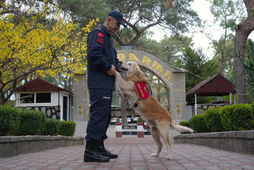 48 cana hayat patisi uzattı, emekli oldu - Resim : 2