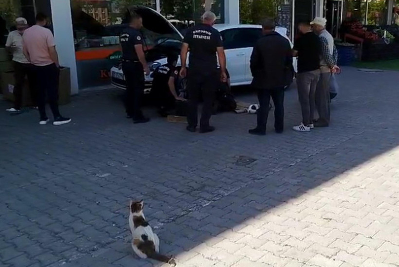 Motorda sıkışan yavrularını böyle bekledi - Resim : 3