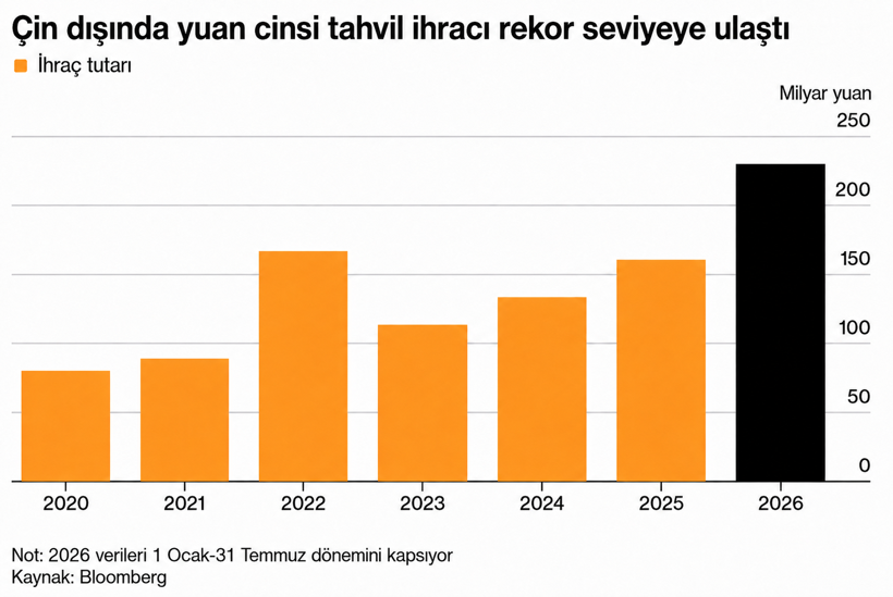 Ne dolar ne Euro... Borçlanma için yeni para geliyor - Resim : 1