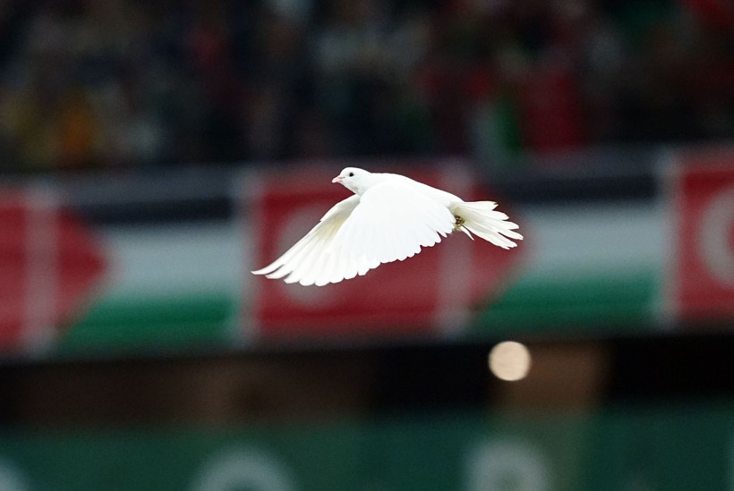 Konyaspor-Filistin maçı 89'da bitti: Nedeni anlaşılınca gözyaşları sel oldu - Resim: 41