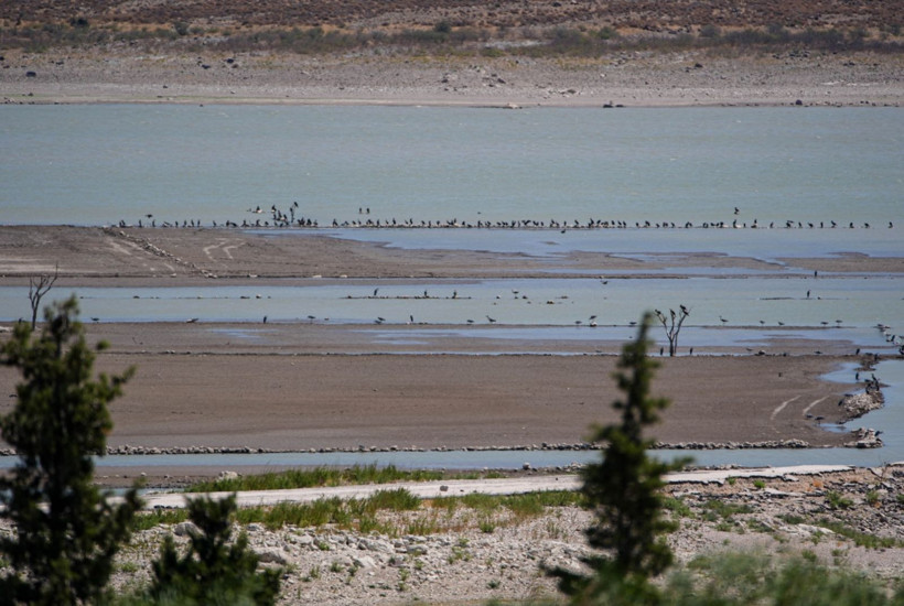 İzmir S.O.S. veriyor: Baraj kurudu, artık yürümek mümkün - Resim: 2
