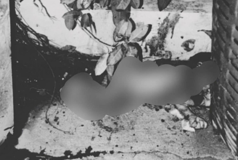 Cani anne: Sokak ortasında doğum yapıp ölüme terk etti - Resim: 6