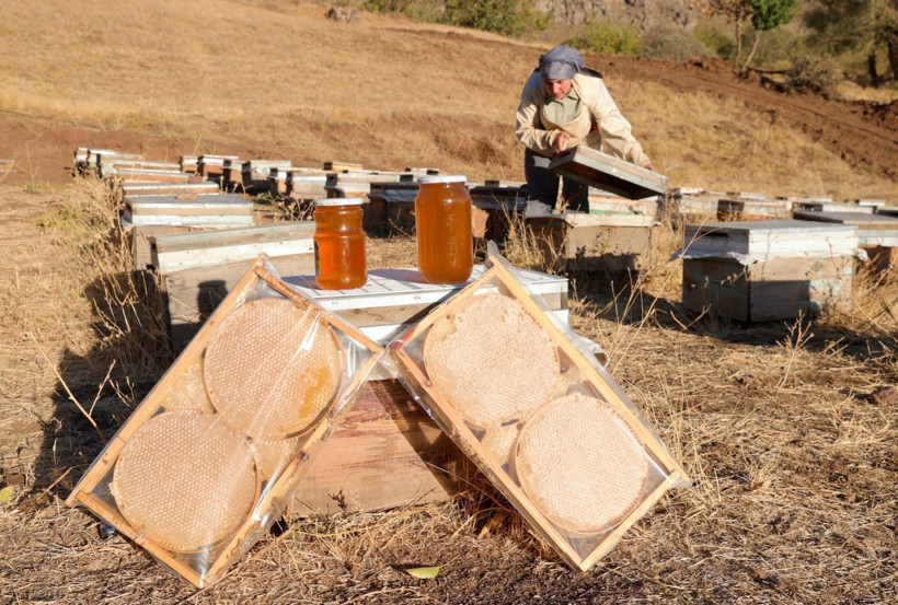 Köye döndü, işinin patronu oldu - Resim: 3