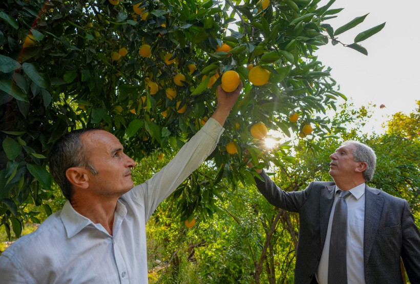 İklim değişti mahsul şaşırttı: Diyarbakır'da mikroklima mucizesi - Resim: 19