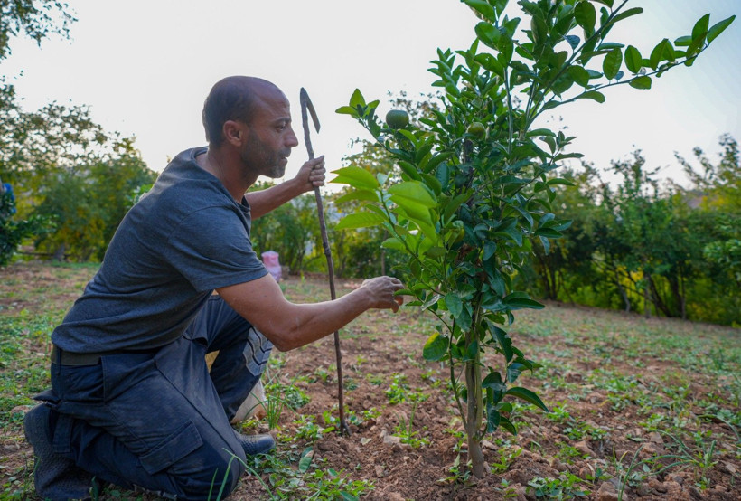 İklim değişti mahsul şaşırttı: Diyarbakır'da mikroklima mucizesi - Resim: 21