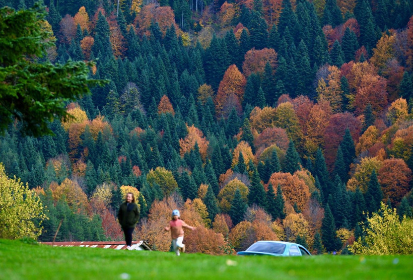 Tuval gibi: Düzce'den büyüleyen kareler - Resim: 6