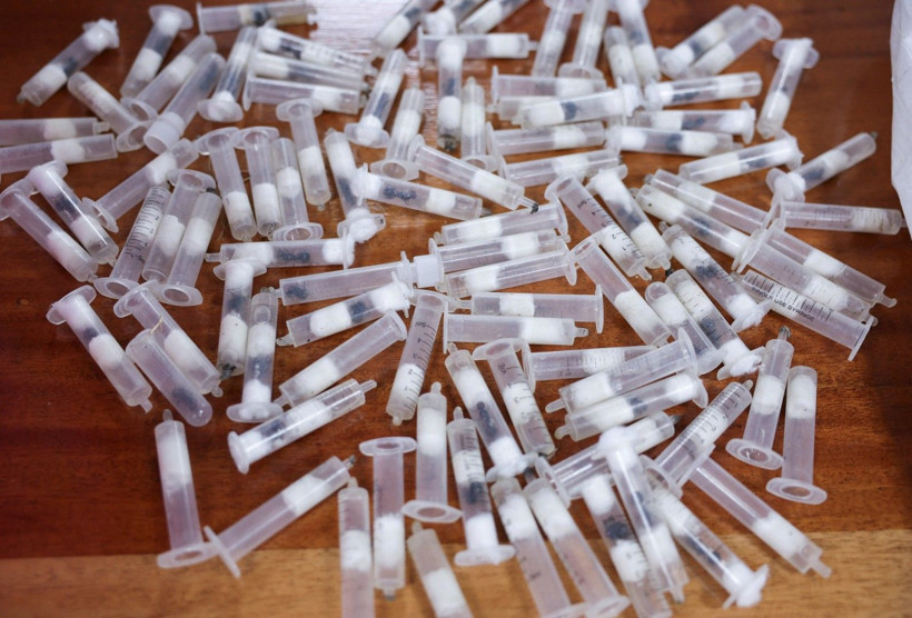 Valizinde tam 2238 karınca bulunmuştu: Hakim karşısına çıktı - Resim: 8