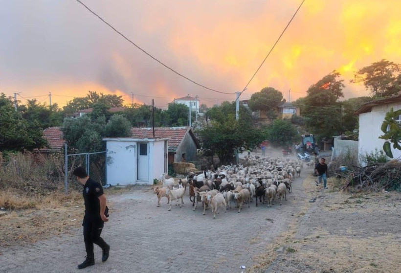 Tekirdağ'daki orman yangını büyüdü - Resim: 16
