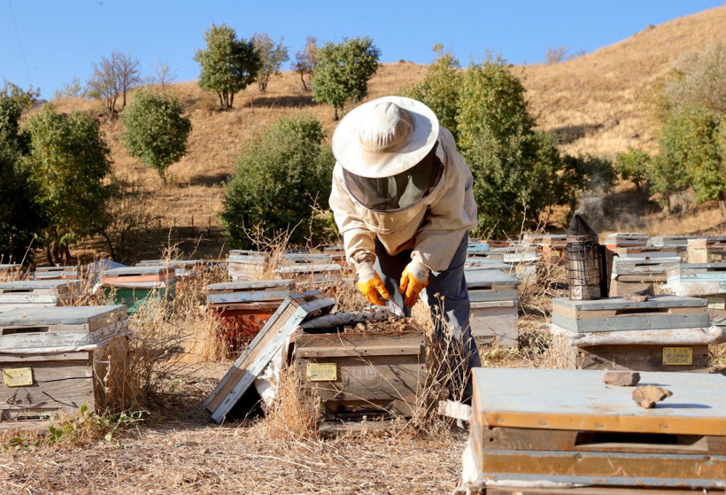 Köye döndü, işinin patronu oldu - Resim: 2