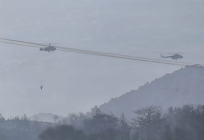 Denizli'de başladı, Aydın'a sıçradı: Üç gündür yanıyor - Resim: 6