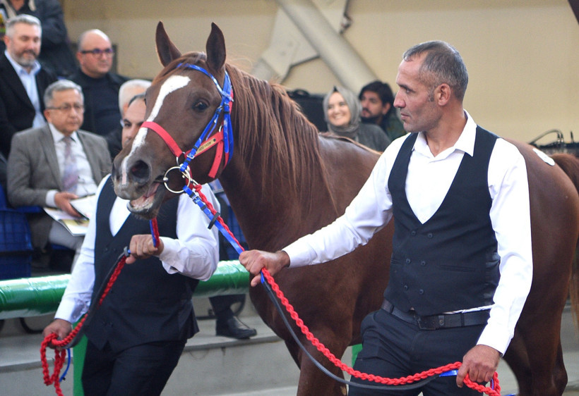 Veliefendi'de açık artırma: 'Hızlı Yasin' 10.5 milyona start aldı - Resim : 1