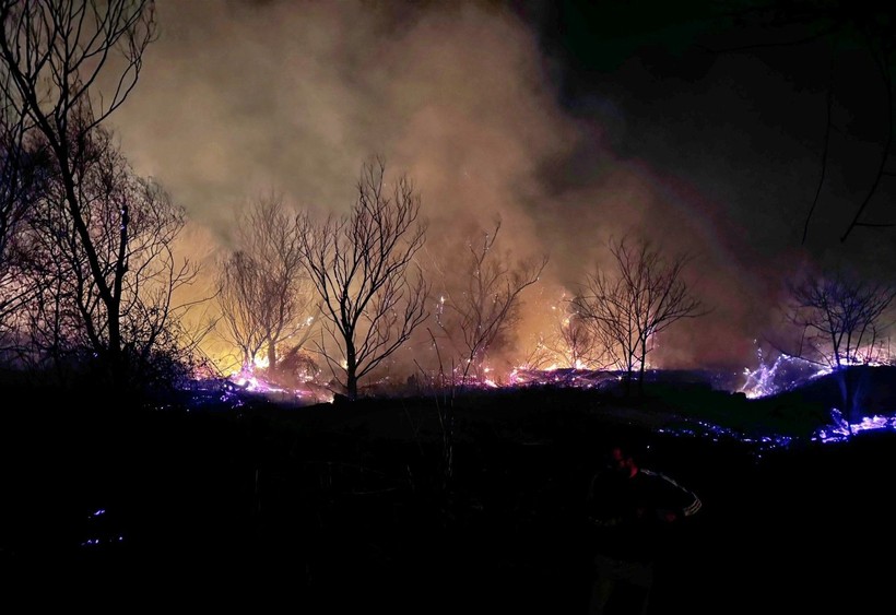 Kuş cenneti kül oldu - Resim: 6