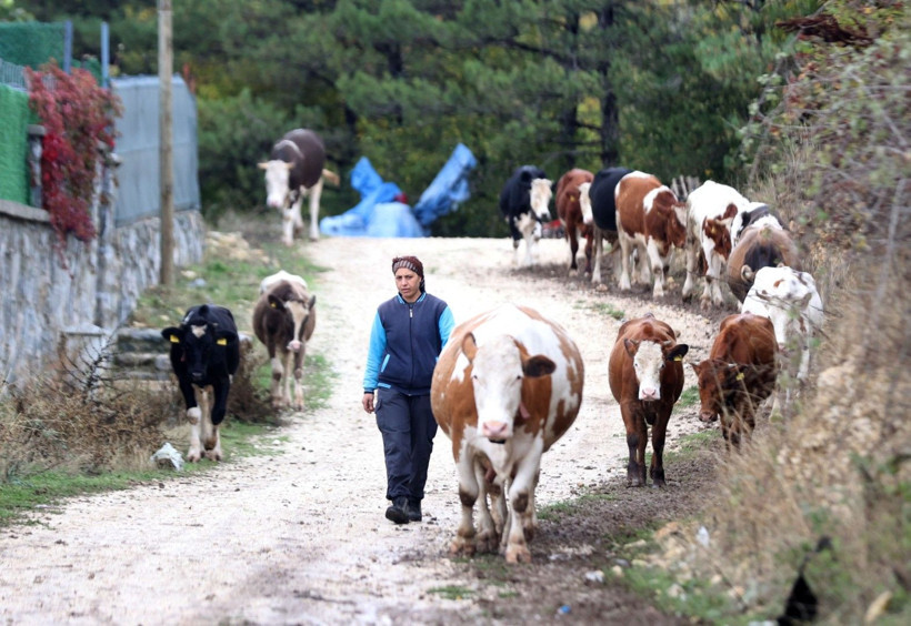 Gelin geldi, köyde kendi işinin patronu oldu - Resim: 9