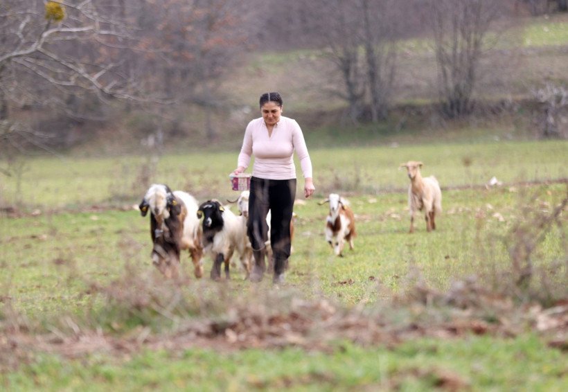 Lüksü bırakıp doğayı seçti! Keçileriyle yaşamaya başladı - Resim : 2