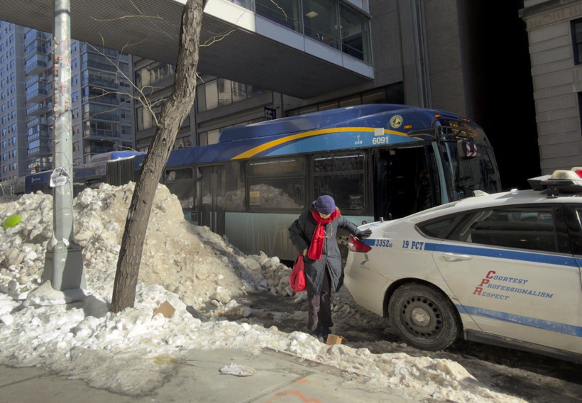 New York'ta buzul çağı - Resim: 25