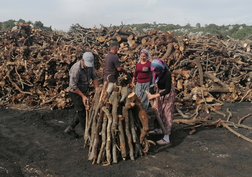 Bu işin mevsimi yok: 33 yıldır bir aileyi doyuruyor - Resim : 1