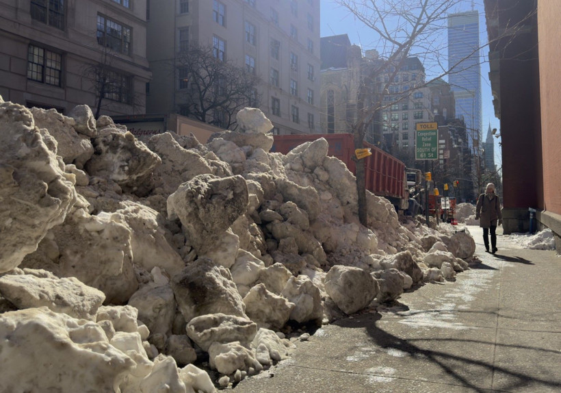 New York'ta buzul çağı - Resim: 23