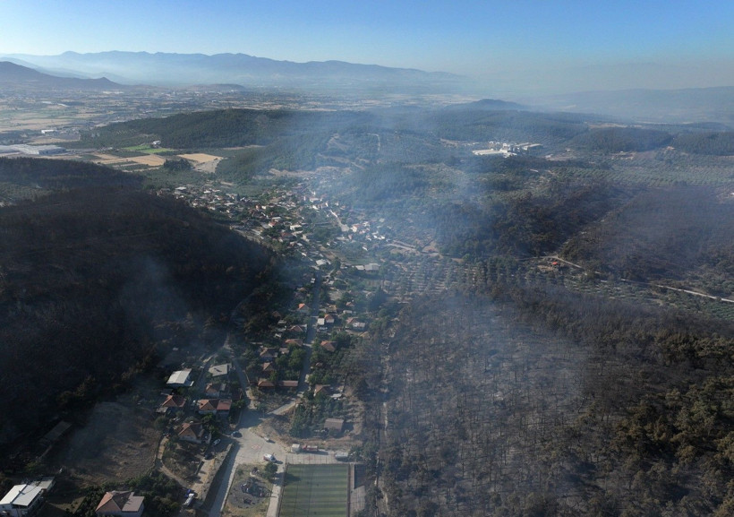 İzmir'den acı kareler: Kül oldu - Resim: 12