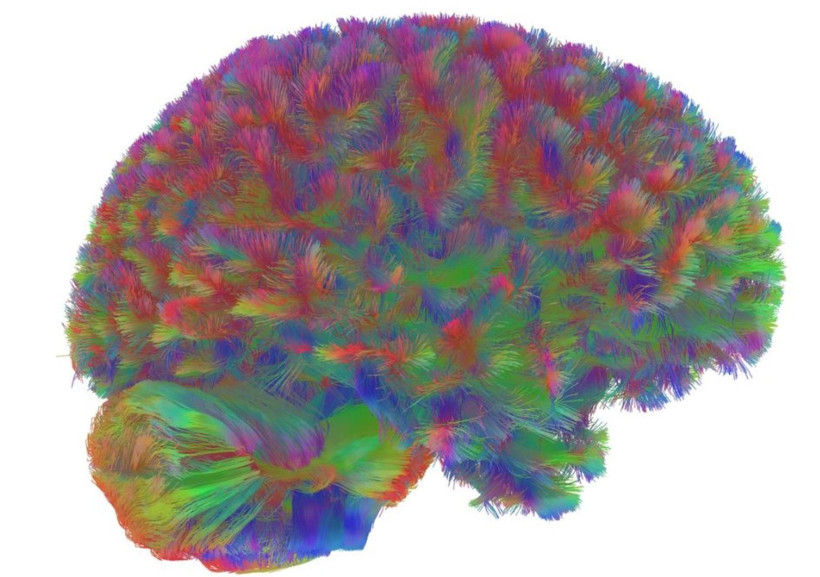 Gizemler bir bir çözüldü: 2025'te en çok konuşulan bilimsel keşifler - Resim: 4