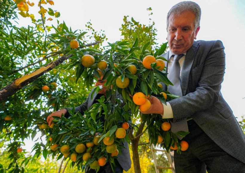 İklim değişti mahsul şaşırttı: Diyarbakır'da mikroklima mucizesi - Resim: 17