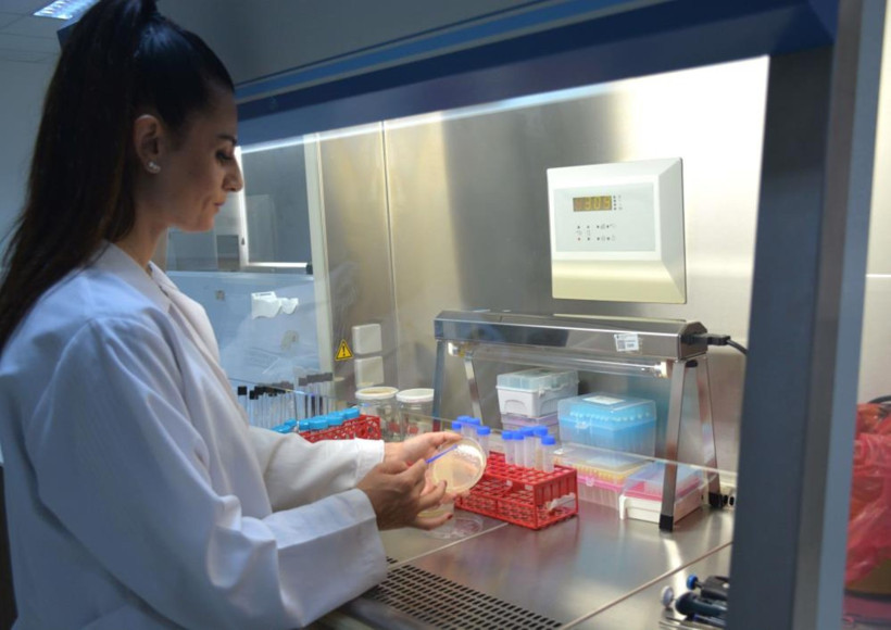 Kıbrıs’tan çıktı: Yeni virüs “Alasiavirus” keşfedildi - Resim : 1