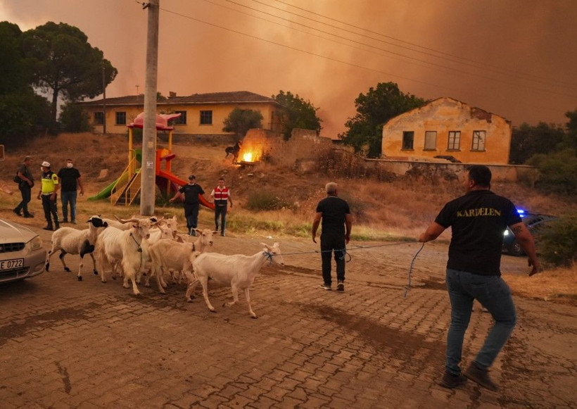 İzmir Ödemiş'te yangın felaketi: Köyler boşaltıldı - Resim: 13