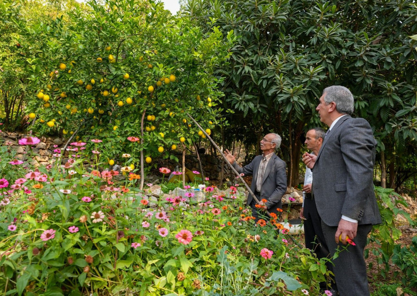 İklim değişti mahsul şaşırttı: Diyarbakır'da mikroklima mucizesi - Resim: 13