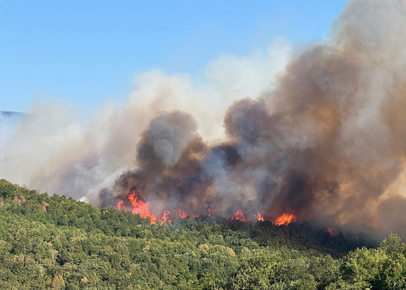 Kocaeli'de çıkan orman yangınına müdahale ediliyor - Resim: 7