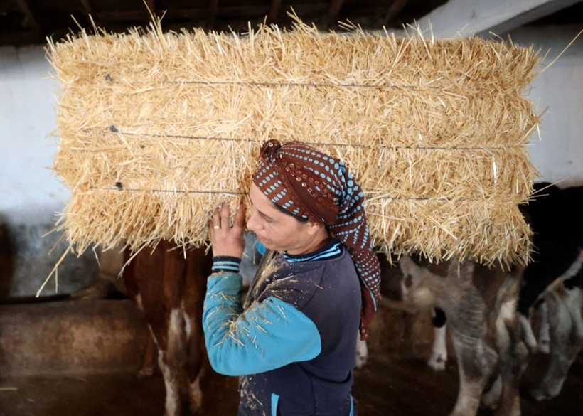 Gelin geldi, köyde kendi işinin patronu oldu - Resim: 3