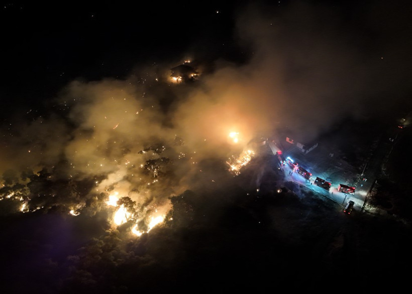 İzmir'de büyük yangın: Ormana sıçradı - Resim : 8